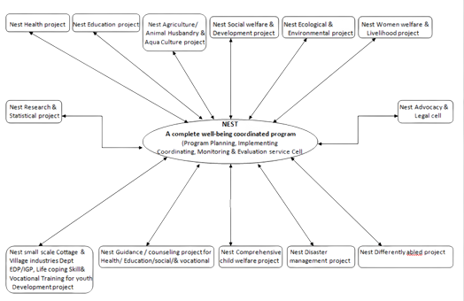 Programmatic framework